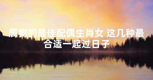 属狗的最佳配偶生肖女 这几种最合适一起过日子